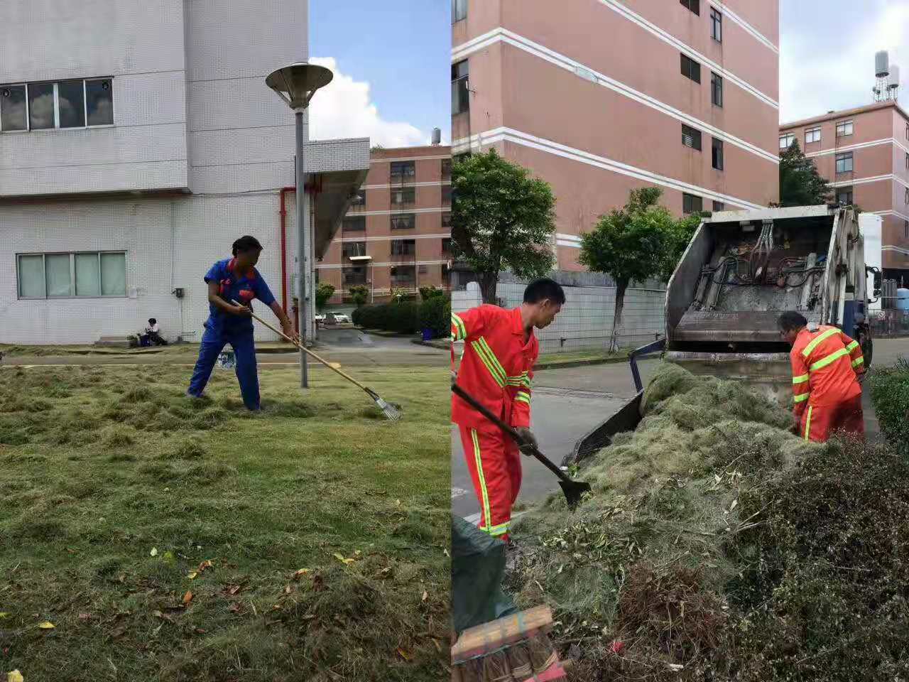 佛山園林綠化工程注重生態保護